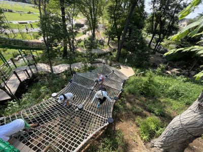 公園等の工事施工管理・緑地維持管理・生物多様性に配慮した維持管理
