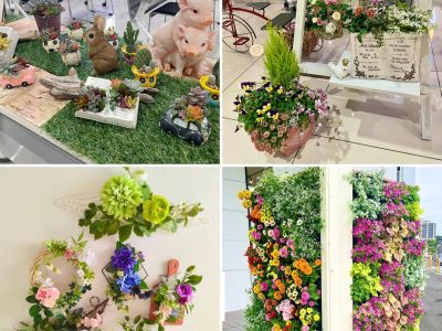 flower+plus